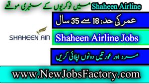 Shaheen Airline Jobs 2024 Online Apply