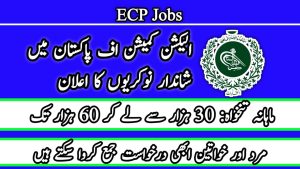 Election Commission of Pakistan ECP Jobs 2024 Online Apply