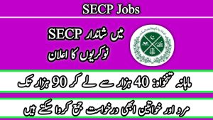 SECP Jobs 2023 - Online Apply at www.secp.gov.pk