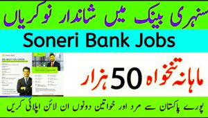 Soneri Bank Jobs 2024 Online Apply