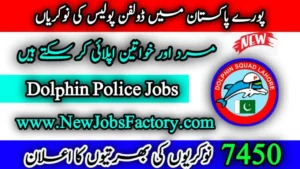 Dolphin Police Jobs 2024 Online Apply