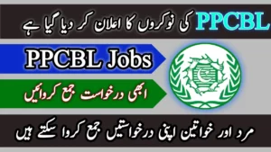 PPCBL Jobs 2024 - Punjab Provincial Cooperative Bank Jobs Online Apply