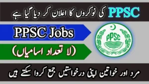 PPSC Jobs 2024 Online Apply