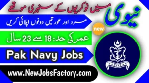 Pak Navy Jobs 2024 Online registration