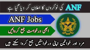 ANF Jobs 2024 Online Apply