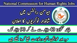 National Commission for Human Rights Jobs 2024 Online Apply – Apply Now