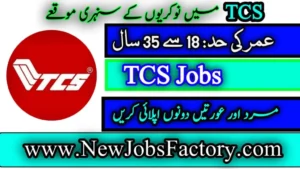 TCS Jobs 2024 Online Apply        